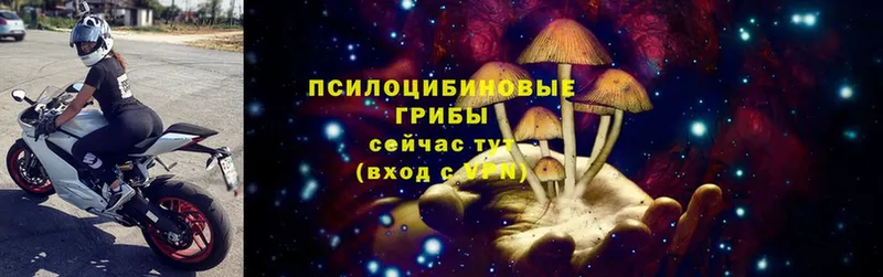 Галлюциногенные грибы Magic Shrooms Семикаракорск